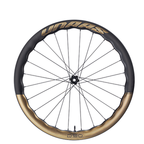 Roda Carbono Elite Drive 50 Disc - HG